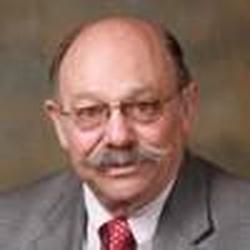 Dr David Bearman
